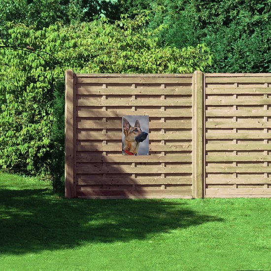 WallClassics - Poster de jardin - Berger observateur - 40x60 cm Photo sur poster de jardin (décoration murale pour extérieur et intérieur)