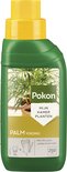 Pokon Palm Voeding - 250ml - Plantenvoeding - 10ml per 1L water