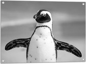 WallClassics - Tuinposter – Vrolijke Pinguïn Zwart / Wit - 80x60 cm Foto op Tuinposter  (wanddecoratie voor buiten en binnen)