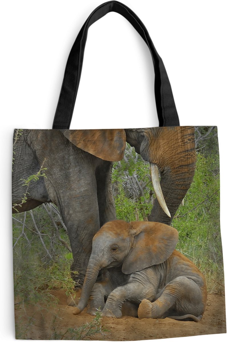 Dierenkop Olifant - Wanddecoratie van hout FSC 100