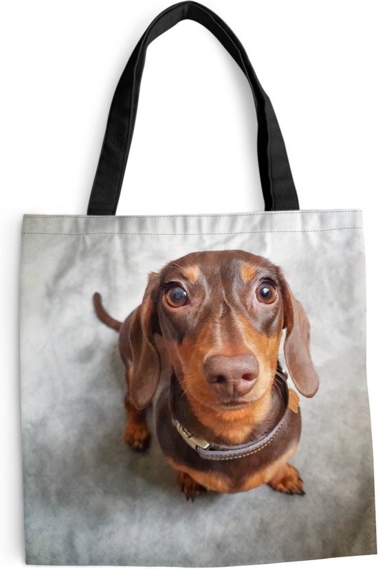 Sac bandoulière - Sac de plage - Shopper Gros plan tête de teckel - 45x45 cm - Sac coton