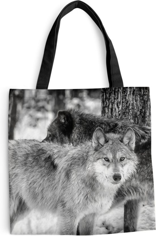 Two Ravens] Odin Ketting - Viking Ketting - De Raven van Odin - Fenrir