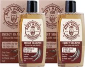 Men's Master Energy Shampooing Men - Stimule la croissance des cheveux et réduit la chute des cheveux - Value Pack - 2 x 260ML