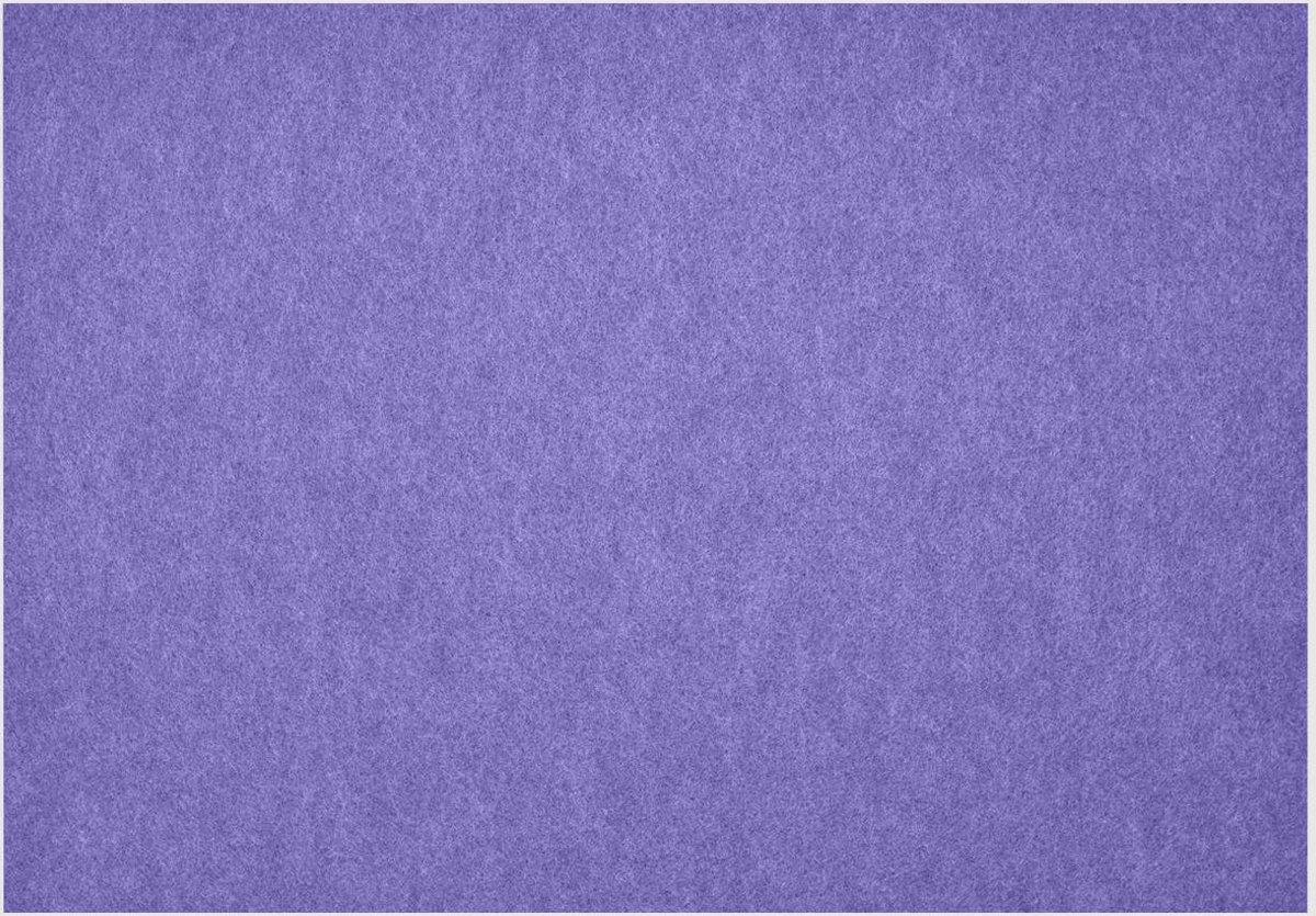 Daff Fiberixx Placemat - Gerecycled Materiaal - 31x42 cm - Viola