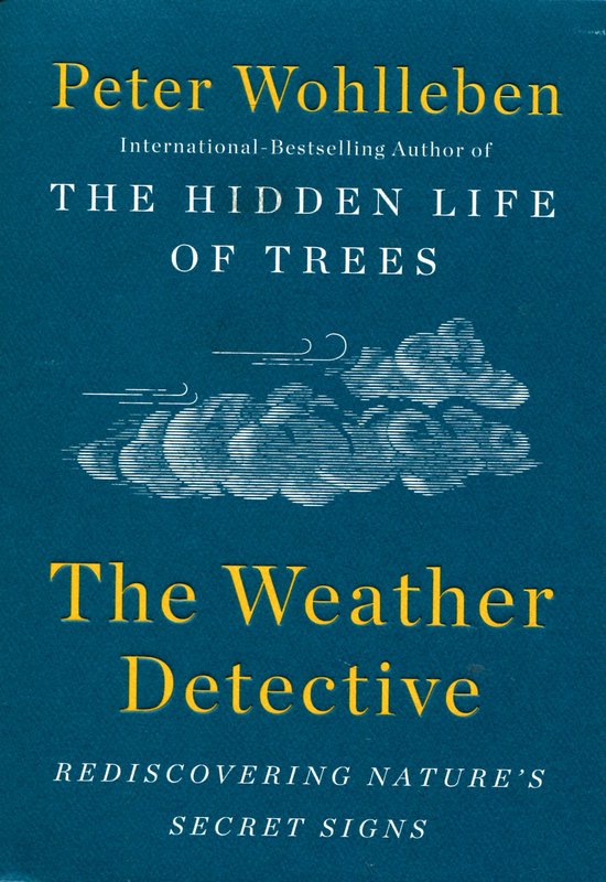 The Weather Detective - cover