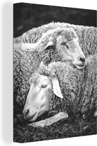 Peinture sur toile Deux moutons au repos - noir et blanc - 30x40 cm - Décoration murale Art