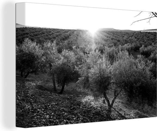 Canvas Schilderij Zonsondergang boven de olijfgaard - zwart wit - 30x20 cm - Wanddecoratie