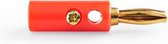 Banaan connector voor luidsprekerkabel tot 4 mm - verguld / rood