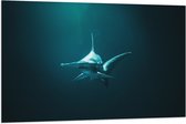 WallClassics - Drapeau - Requin Marteau dans l' Water - 120x80 cm Photo sur Drapeau Polyester