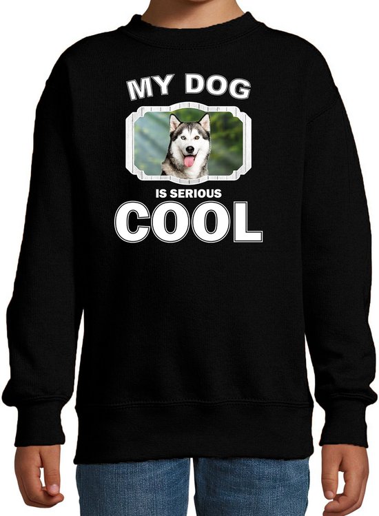 Husky honden trui / sweater my dog is serious cool zwart - kinderen - Siberische huskys liefhebber cadeau sweaters - kinderkleding / kleding 152/164