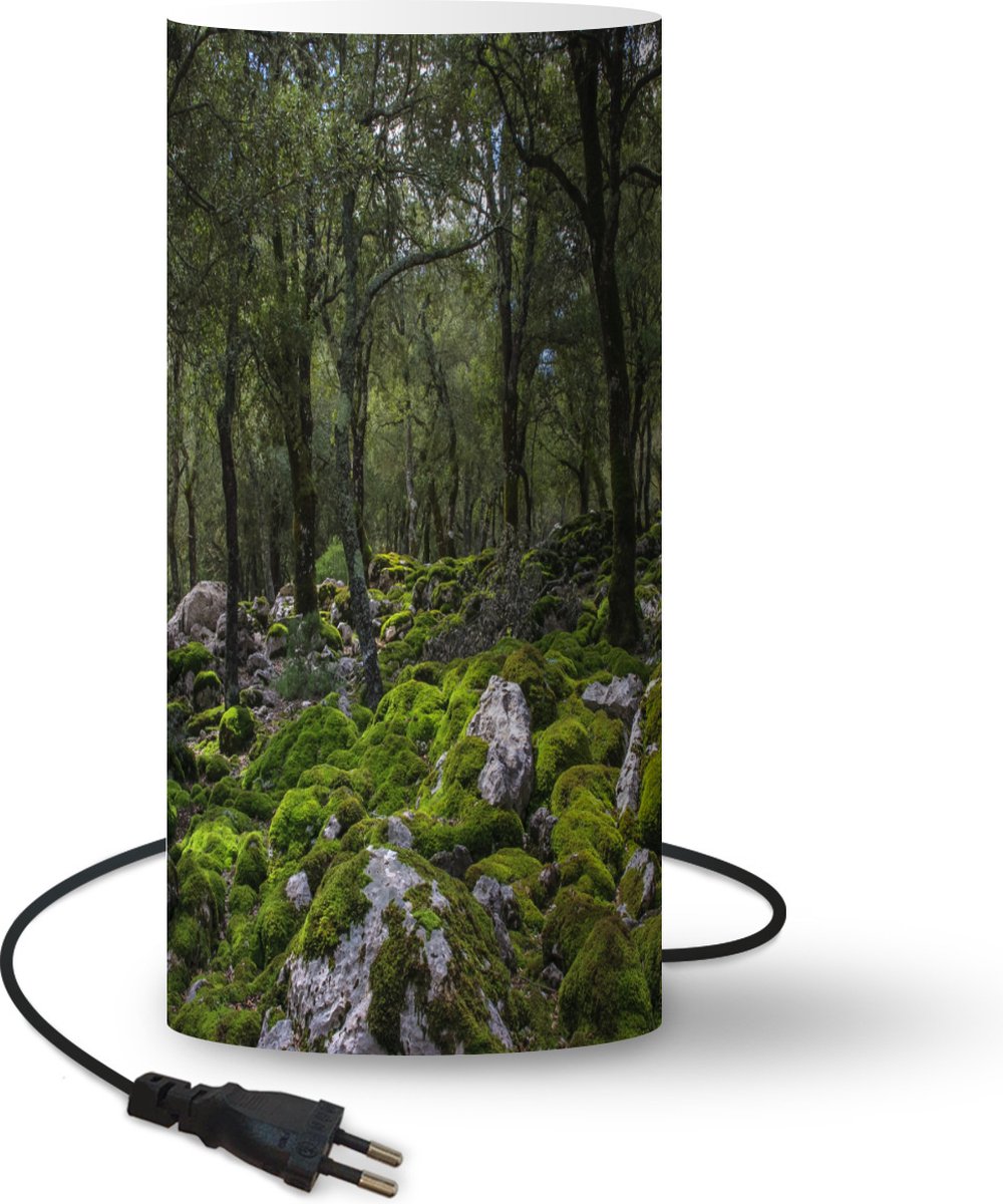Lamp - Nachtlampje - Tafellamp slaapkamer - Eikenbomen in een bos met mossige stenen - 33 cm hoog - Ø15.9 cm - Inclusief LED lamp