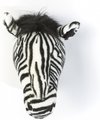Trophée Tête d'Animal Zebra Daniel | Sauvage et doux