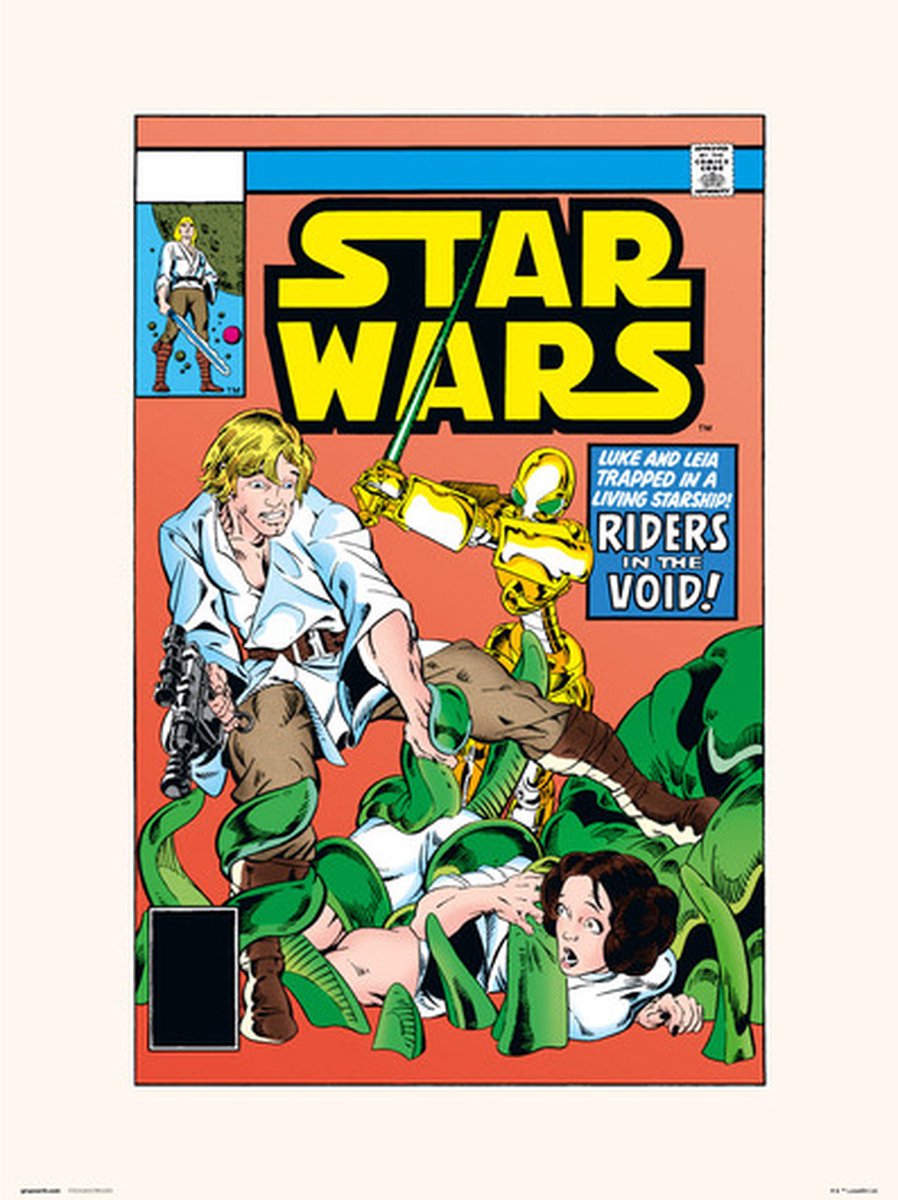 Grupo Erik STAR WARS 38 RIDERS IN THE VOID - Art Print 30x40 cm