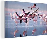Canvas - Schilderij - Flamingo - Zee - Water - Vogel - Tropical - Schilderij op canvas - Woonkamer - 30x20 cm - Canvas doek - Wanddecoratie