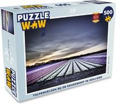 Puzzel Tulpenvelden bij de Keukenhof in Holland - Legpuzzel - Puzzel 500 stukjes