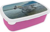 Broodtrommel Roze - Lunchbox - Brooddoos - Paard - Water - Druppel - 18x12x6 cm - Kinderen - Meisje