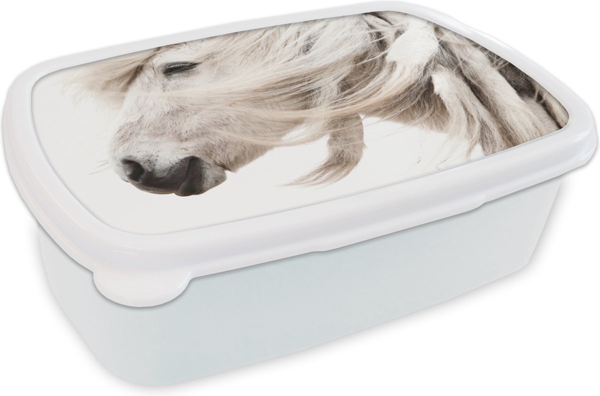 Broodtrommel Wit - Lunchbox - Brooddoos - Paard - Manen - Wit - 18x12x6 cm - Volwassenen