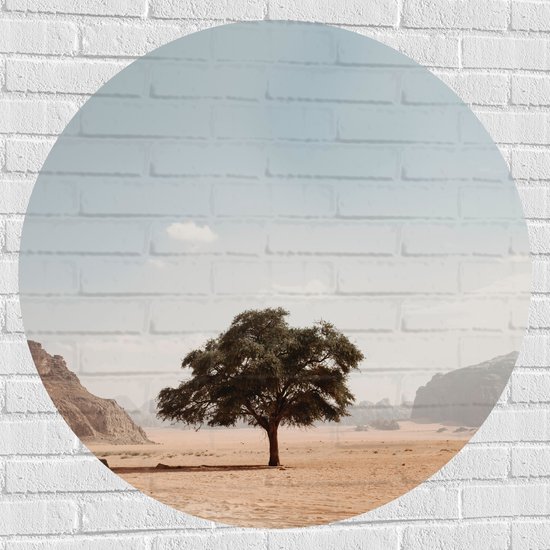 WallClassics - Muursticker Cirkel - Eenzame Boom in Woestijn - 100x100 cm Foto op Muursticker
