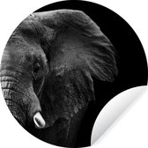 Behangcirkel - Wilde dieren - Olifant - Zwart - Wit - Zelfklevend behang - ⌀ 120 cm - Behangcirkel zelfklevend - Behang cirkel - Cirkel behang