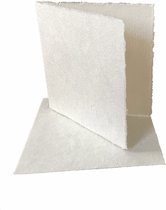 Set van 10 vierkante dubbele kaarten met envelop, Tree Free mulberrypapier