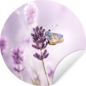 WallCircle - Behangcirkel - Lavendel - Vlinder - Bloemen - Botanisch - Behangcirkel zelfklevend - Zelfklevend behang - 120x120 cm - Behangsticker - Behang cirkel