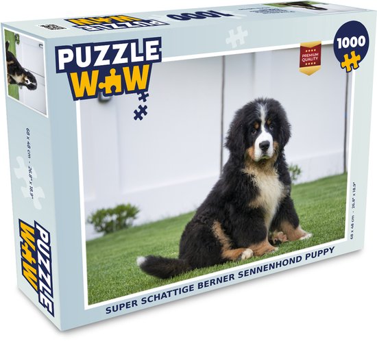 Puzzel Super schattige Berner Sennenhond puppy - Legpuzzel - Puzzel 1000  stukjes... | bol.com