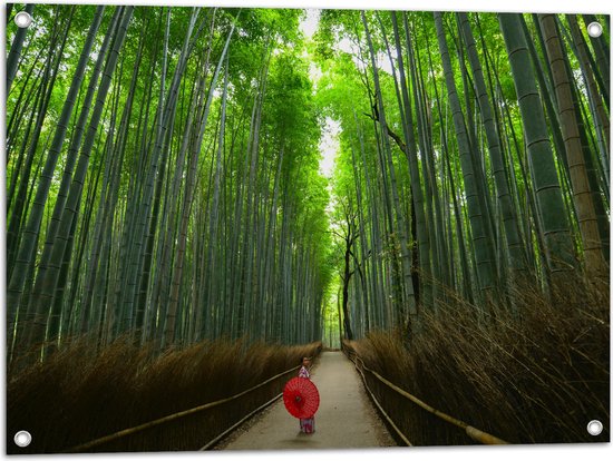 WallClassics - Tuinposter – Bamboe Bomen met Japanse Paraplu - 80x60 cm Foto op Tuinposter  (wanddecoratie voor buiten en binnen)