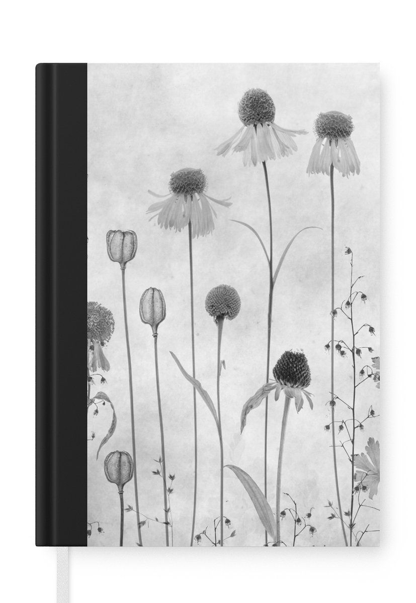 Hahnemuhle 10625171 Cahier à Aquarelle Format A5 Gris Sur Hahnemuhle 10625171 - Cuaderno De Acuarela (5 Unidades, Tamaño A5 Hahnemuhle 10625171 Cahier à Aquarelle Format A5 Gris En