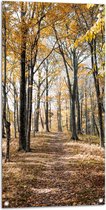 WallClassics - Tuinposter – Echte Herfstdag - 50x100 cm Foto op Tuinposter  (wanddecoratie voor buiten en binnen)