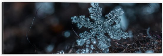 WallClassics - Dibond - Close up van Sneeuwvlok op Aarde - 60x20 cm Foto op Aluminium (Met Ophangsysteem)