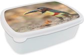 Broodtrommel Wit - Lunchbox - Brooddoos - Vogel - Toekan - Veren - Natuur - 18x12x6 cm - Volwassenen