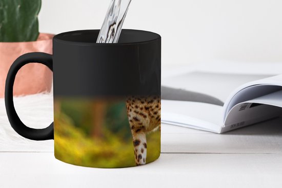 Mug Magique - Mug Photo sur Chaleur - Mug à Café - Animaux Sauvages - Herbe - Léopard - Nature - Mug Magic - Tasse - 350 ML - Mug à Thé