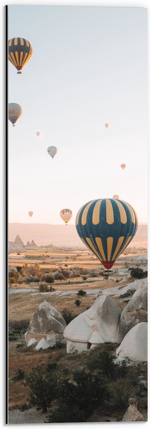 WallClassics - Dibond - Luchtballonnen boven Landschap - 20x60 cm Foto op Aluminium (Wanddecoratie van metaal)