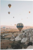 WallClassics - Vlag - Luchtballonnen boven Landschap - 40x60 cm Foto op Polyester Vlag
