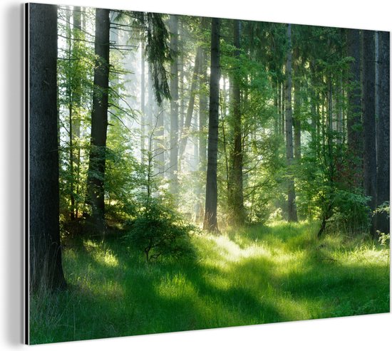 Wanddecoratie Metaal - Aluminium Schilderij Industrieel - Natuur - Bomen - Bos - Groen - Zon - Gras - Planten - 120x80 cm - Dibond - Foto op aluminium - Industriële muurdecoratie - Voor de woonkamer/slaapkamer