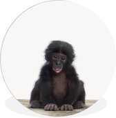 Bébé Chimpanzé Animal Print Nursery Wall Circle Assiette en plastique ⌀ 90 cm - impression photo sur cercle mural / cercle vivant (décoration murale)