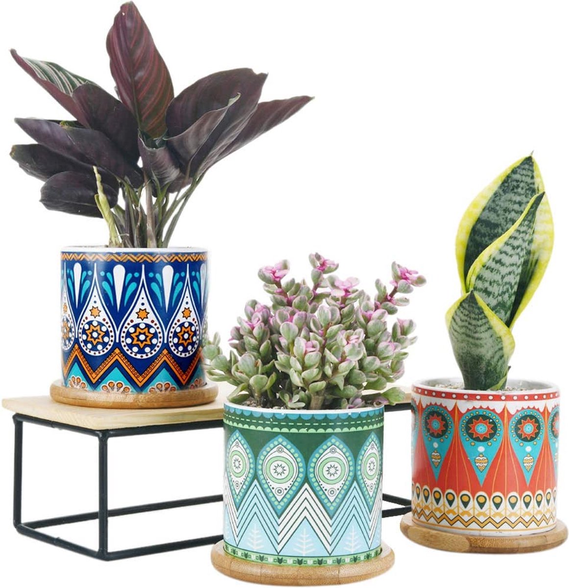 SE SUN-E Set van 3 bloempotten voor vetplanten, 8 cm ronde cactus-keramische plantenbakken met bamboeschalen en drainagat, perfect cadeau-idee mandala's oppervlaktepatroon (mandalas)