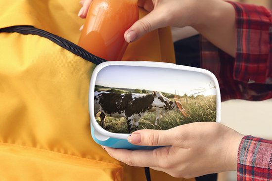 Boîte à lunch Blauw - Boîte à lunch - Boîte à pain - Vaches - Lumière - Nature - 18x12x6 cm - Enfants - Garçon - Cadeau Sinterklaas - Distribution de cadeaux pour enfants - Cadeaux chaussures Sinterklaas