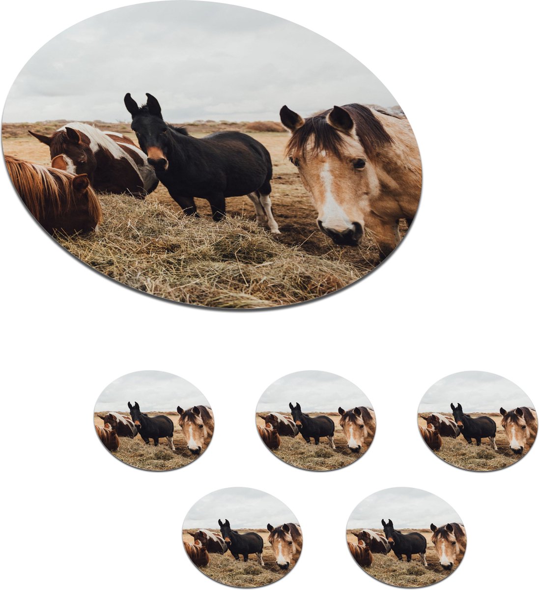 Onderzetters voor glazen - Rond - Dieren - Paard - Paarden - 10x10 cm - Glasonderzetters - 6 stuks