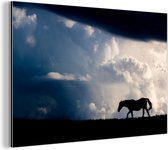 Wanddecoratie Metaal - Aluminium Schilderij Industrieel - Paard - Wolken - Schaduw - 120x80 cm - Dibond - Foto op aluminium - Industriële muurdecoratie - Voor de woonkamer/slaapkamer