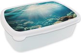 Broodtrommel Wit - Lunchbox - Brooddoos - Zee - Koraal - Zon - 18x12x6 cm - Volwassenen