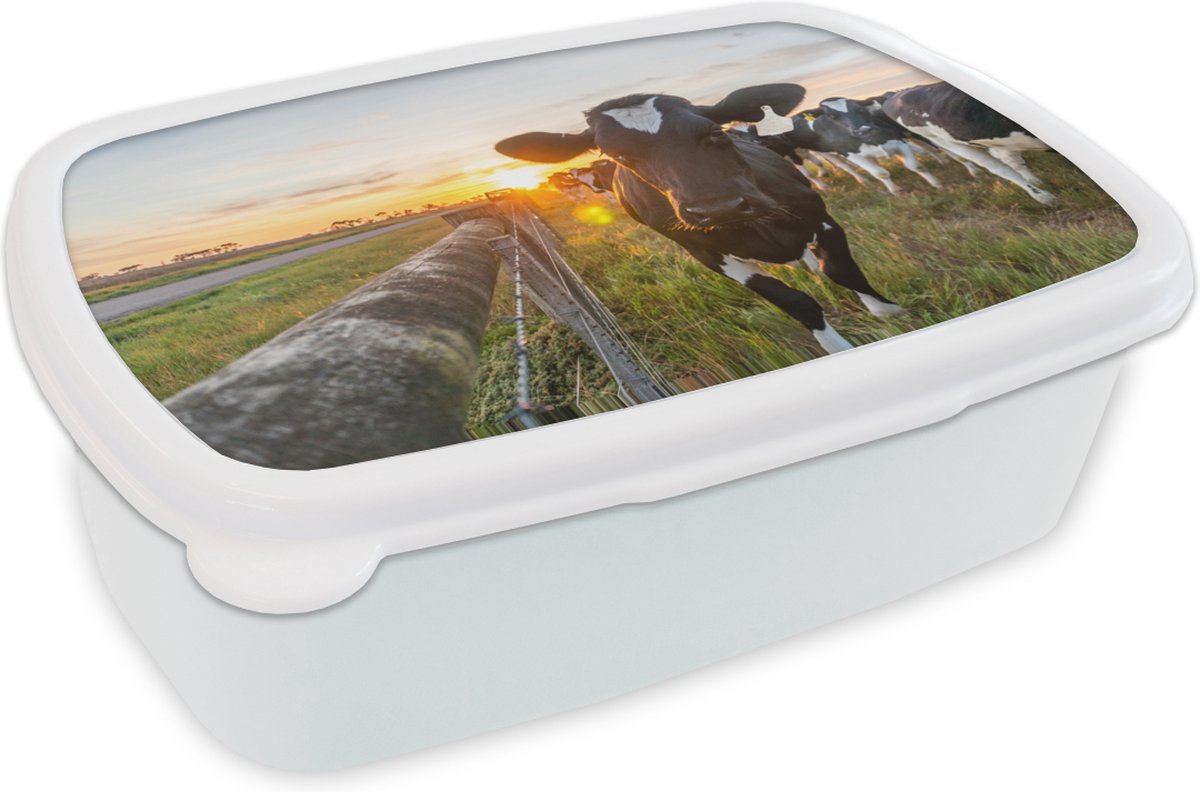 Broodtrommel Wit - Lunchbox - Brooddoos - Koeien - Zon - Hek - 18x12x6 cm - Volwassenen