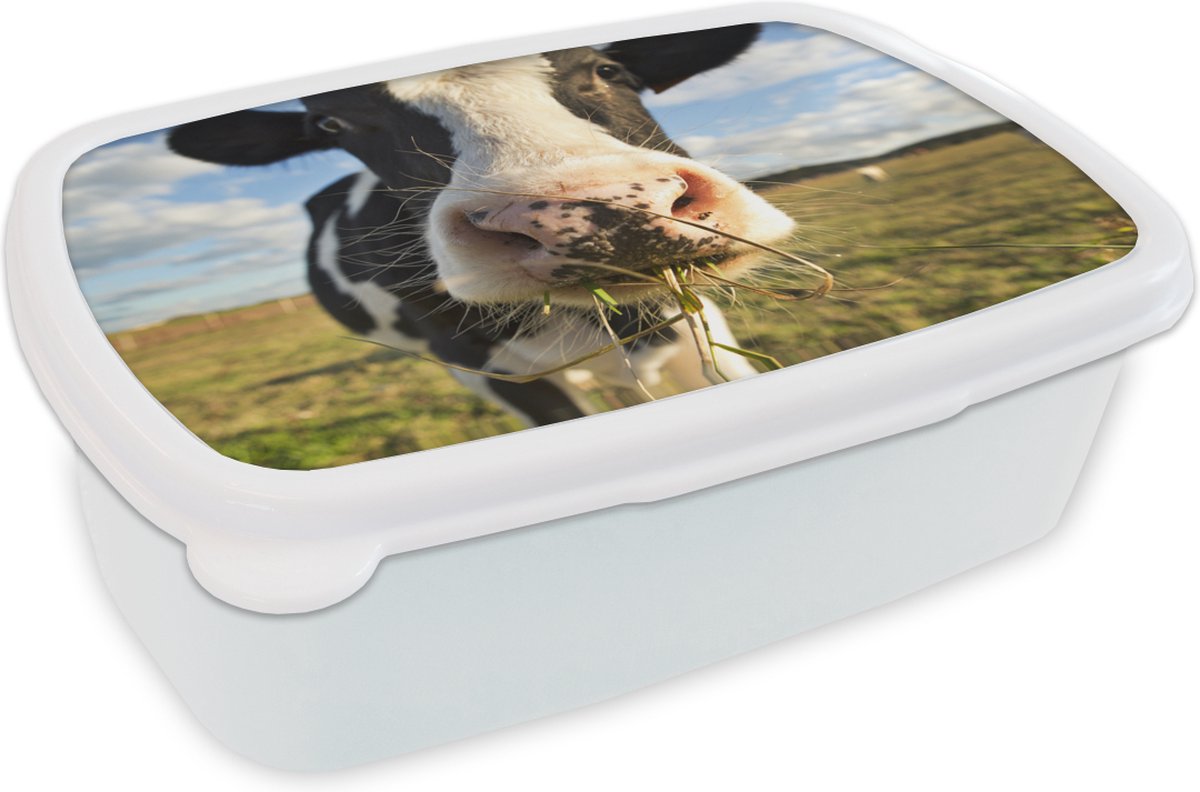 Broodtrommel Wit - Lunchbox - Brooddoos - Koe - Licht - Gras - 18x12x6 cm - Volwassenen