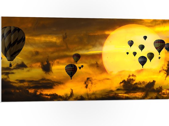 WallClassics - PVC Schuimplaat - Zee van Luchtballonnen bij Zon en Wolken - 100x50 cm Foto op PVC Schuimplaat (Met Ophangsysteem)