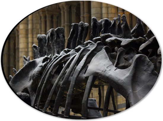WallClassics - Dibond Ovaal - Zwart Skelet van een Dino - 28x21 cm Foto op Ovaal (Met Ophangsysteem)