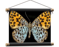 Textielposter - Apodemia Vlinder met Zwarte Achtergrond - 40x30 cm Foto op Textiel