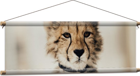 WallClassics - Textielposter - Baby Jacht Luipaard - 90x30 cm Foto op Textiel