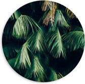 WallClassics - PVC Schuimplaat Muurcirkel - Hangende Groene Bladeren - 60x60 cm Foto op Muurcirkel (met ophangsysteem)