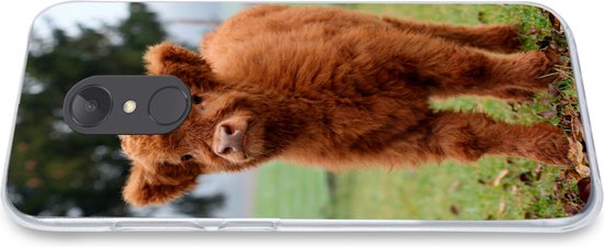 Coque de téléphone compatible avec Xiaomi Redmi 5 - Highlander écossais - Veau - Herbe - Coque en Siliconen