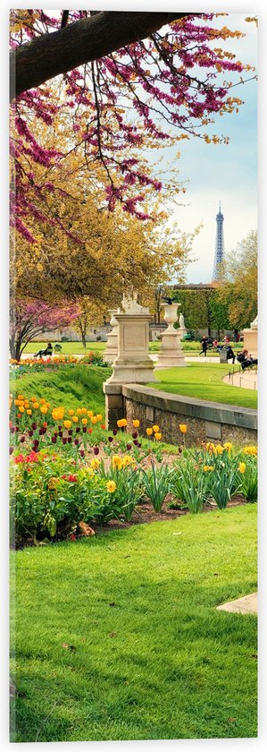 WallClassics - Acrylglas - Jardin Du Luxembourg - 20x60 cm Foto op Acrylglas (Wanddecoratie op Acrylaat)